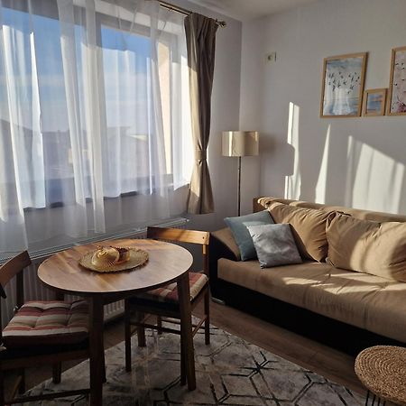 Craitelor Boutique Airport Apartment Otopeni Eksteriør billede